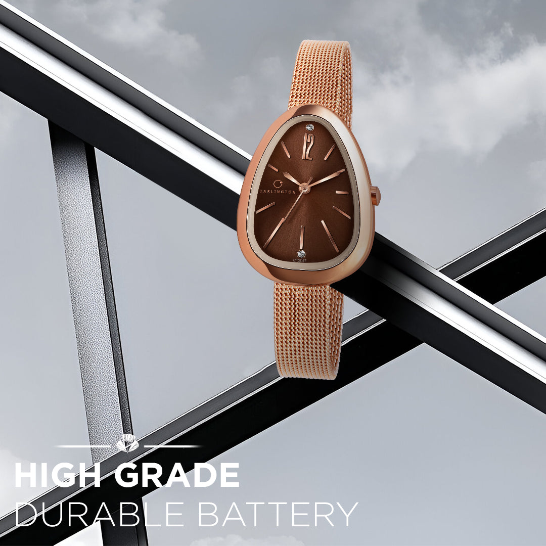 Iconic 2047 Rose Brown Analog Womens Watch